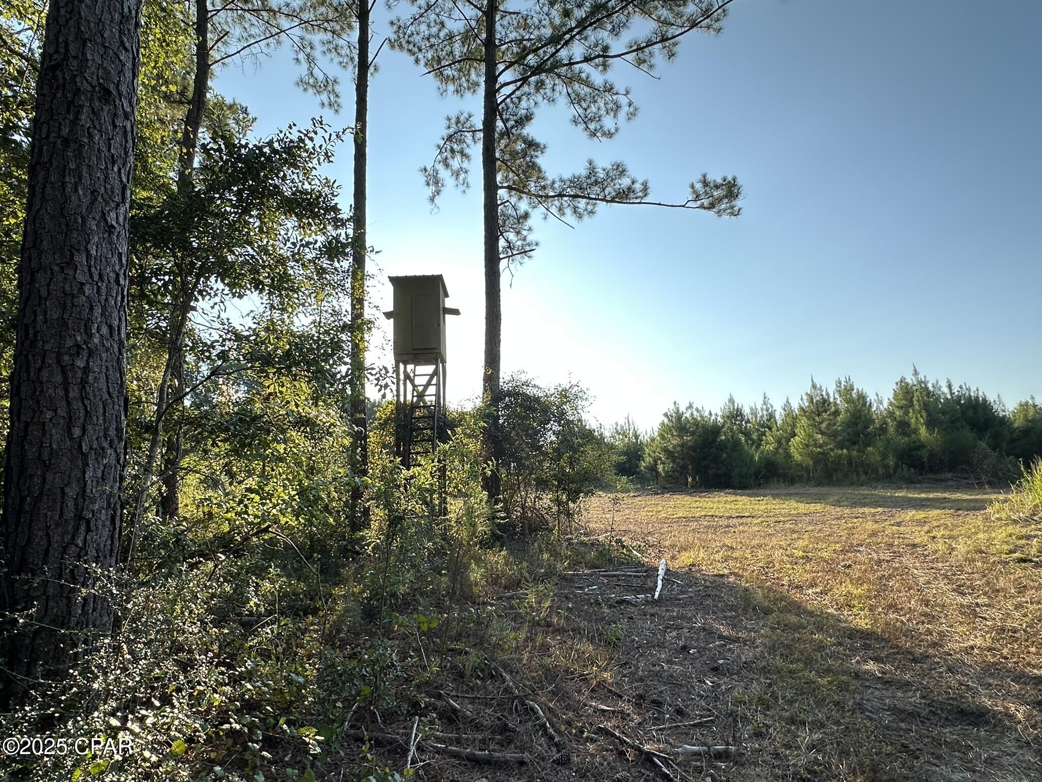 Tract#6201 Doyle Morgan Road DeFuniak Springs, FL 32433 - Photo 30 of 39