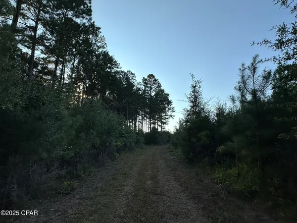 $979,900 | Tract#6201 Doyle Morgan Road, DeFuniak Springs, FL 32433