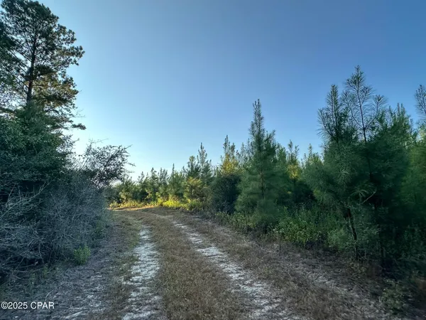 $979,900 | Tract#6201 Doyle Morgan Road, DeFuniak Springs, FL 32433