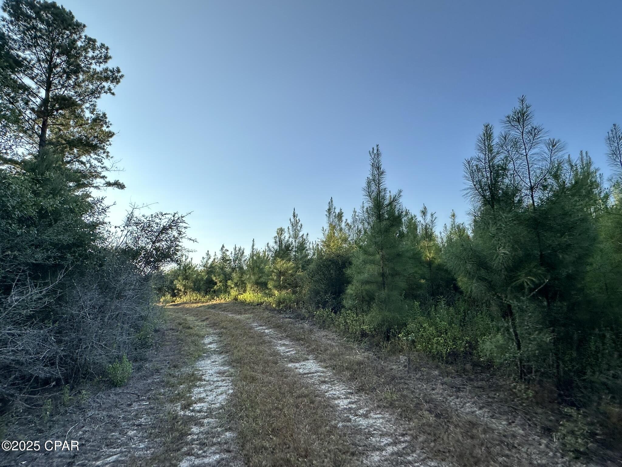 Tract#6201 Doyle Morgan Road DeFuniak Springs, FL 32433 - Photo 35 of 39