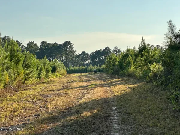 $979,900 | Tract#6201 Doyle Morgan Road, DeFuniak Springs, FL 32433