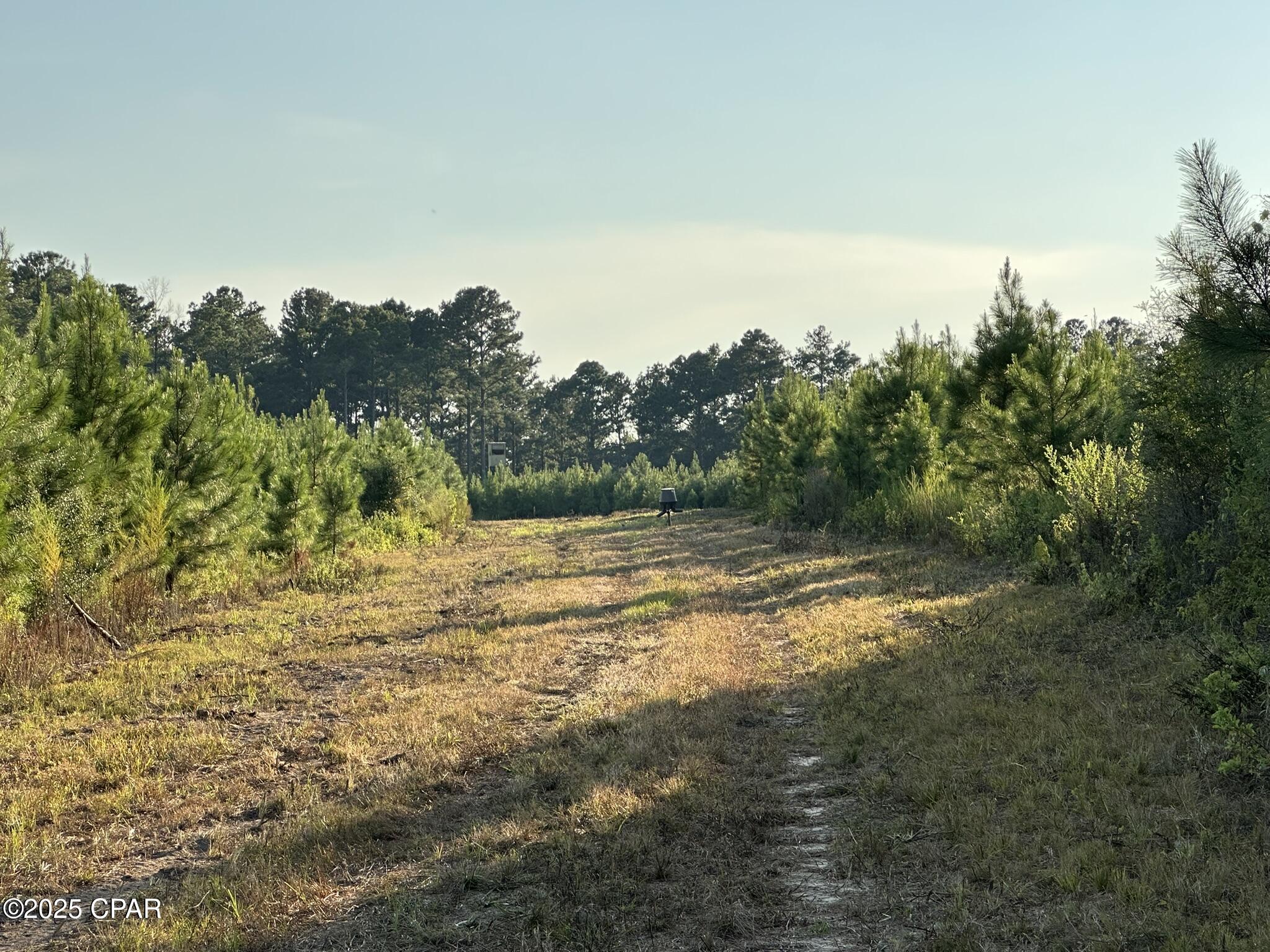 Tract#6201 Doyle Morgan Road DeFuniak Springs, FL 32433 - Photo 36 of 39