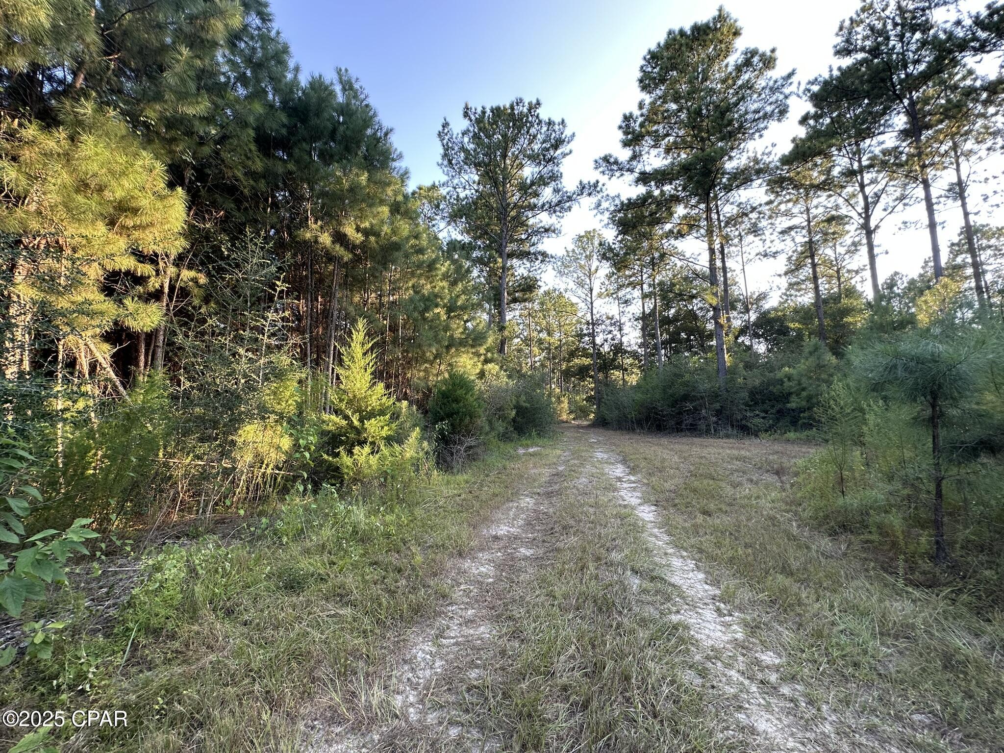 Tract#6201 Doyle Morgan Road DeFuniak Springs, FL 32433 - Photo 38 of 39