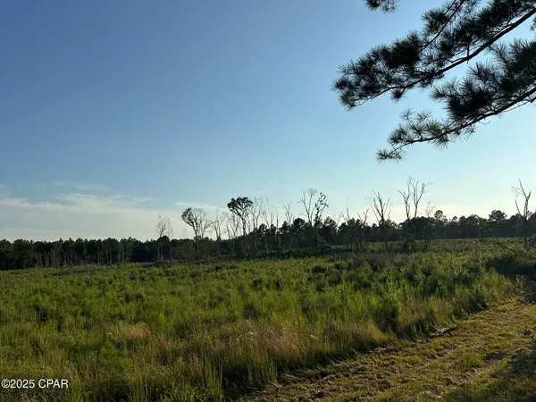 $979,900 | Tract#6201 Doyle Morgan Road, DeFuniak Springs, FL 32433