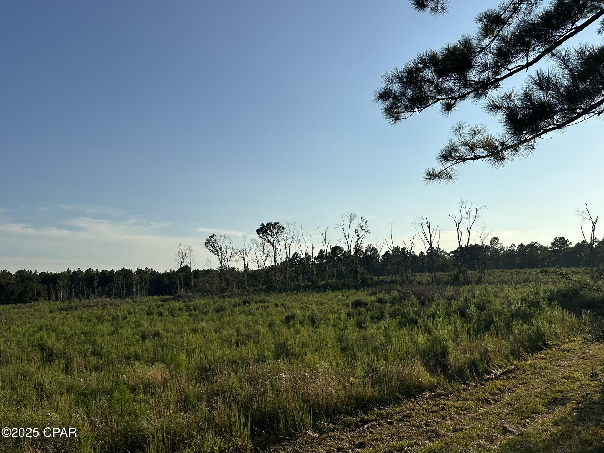 Tract#6201 Doyle Morgan Road DeFuniak Springs, FL 32433 - Photo 39 of 39