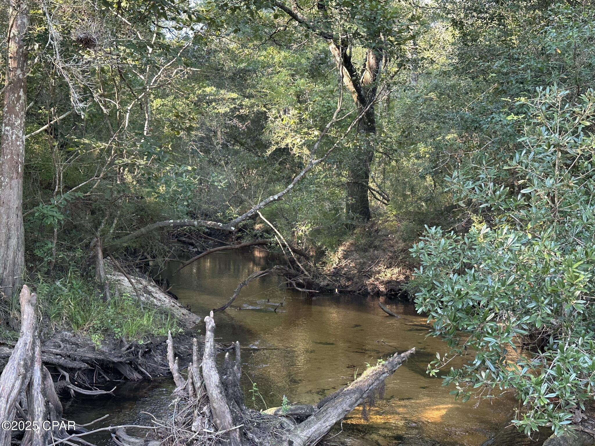 Tract#6201 Doyle Morgan Road DeFuniak Springs, FL 32433 - Photo 5 of 39