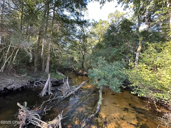 $979,900 | Tract#6201 Doyle Morgan Road, DeFuniak Springs, FL 32433