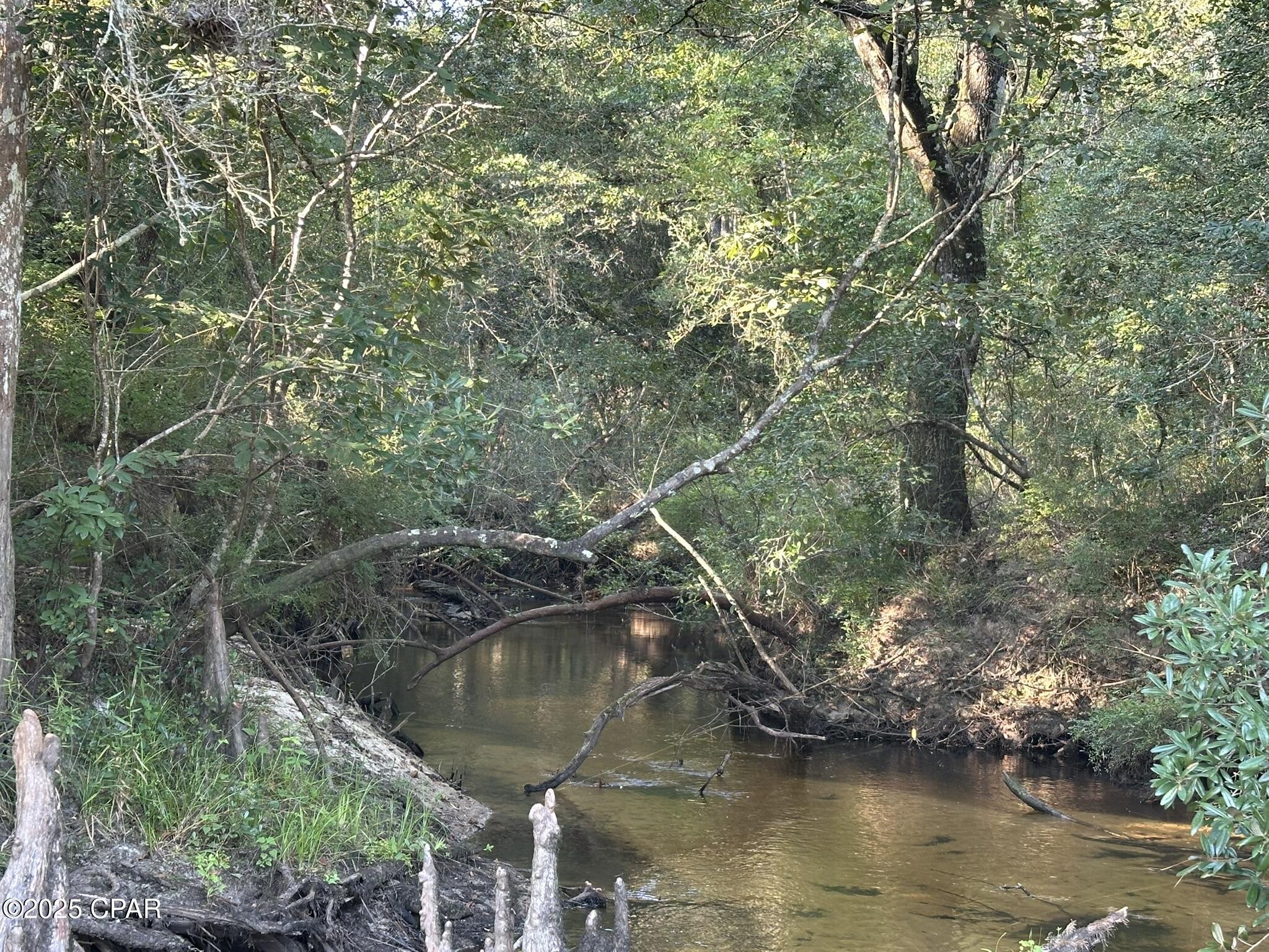 Tract#6201 Doyle Morgan Road DeFuniak Springs, FL 32433 - Photo 9 of 39