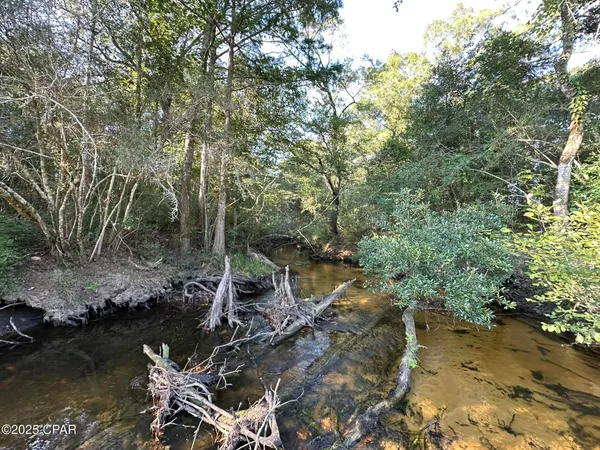 $979,900 | Tract#6201 Doyle Morgan Road, DeFuniak Springs, FL 32433