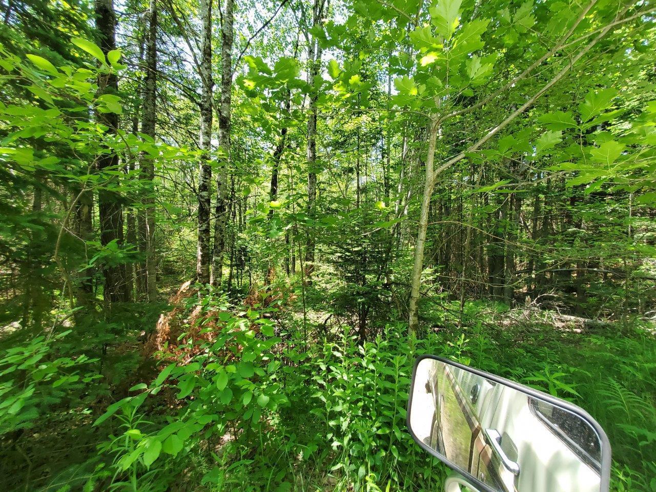 0 Morgan Road Burnham, ME 04922 - Photo 41 of 69 20250617_124301