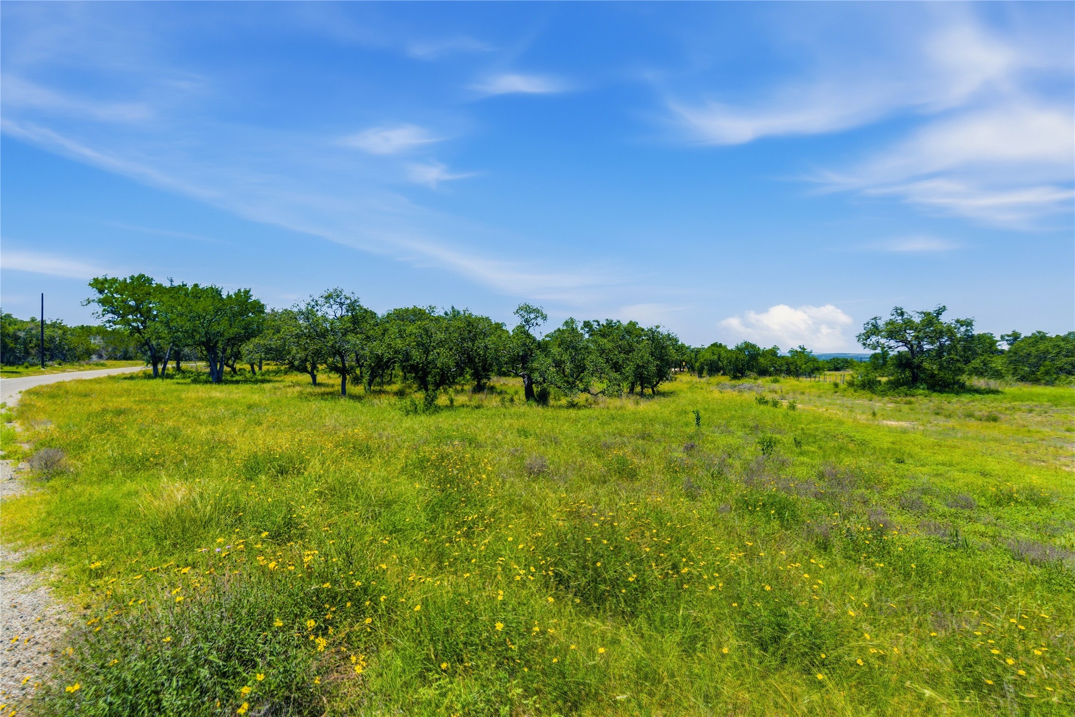 623 Whiskey Trail Blanco, TX 78606 - Photo 11 of 23 Open lot with mature oaks and native plants, perfect for a secluded homesite