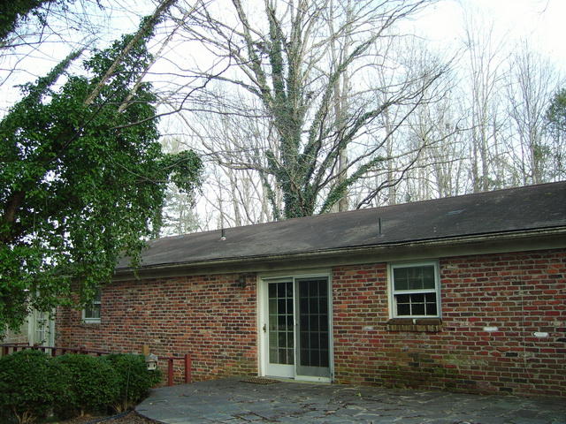 671 Robin Hood Road Bassett, VA 24055 - Photo 21 of 21 IMG_8199_206