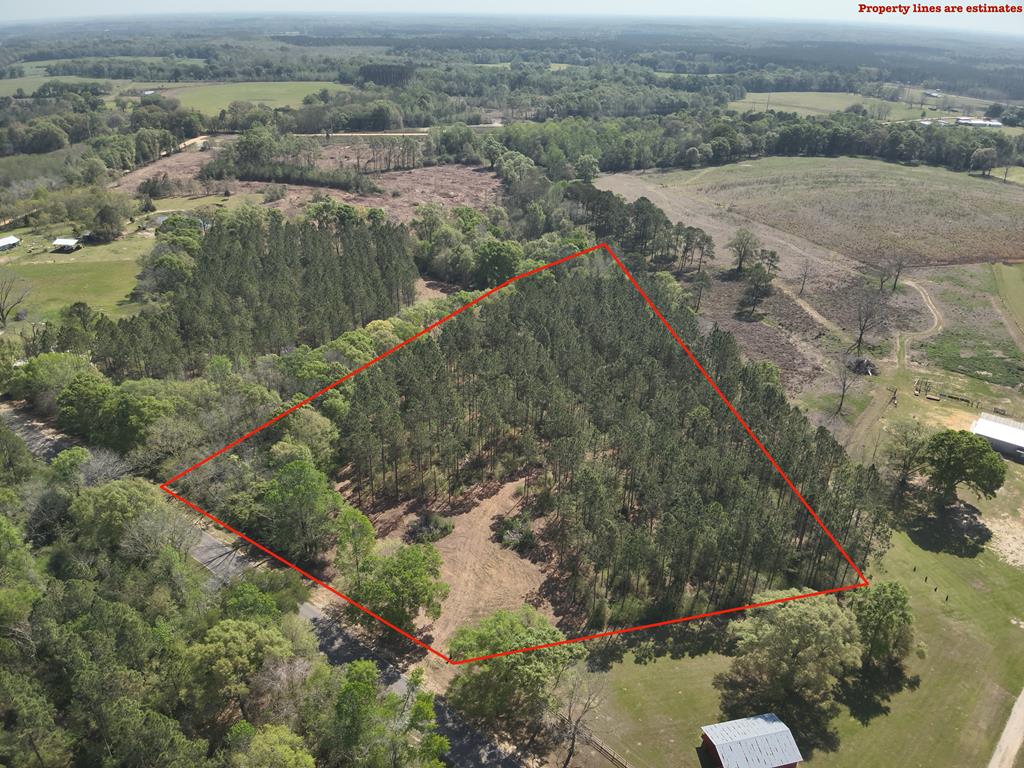 Lot 2 South County Road Slocomb, AL 36375 - Photo 1 of 19 Main View