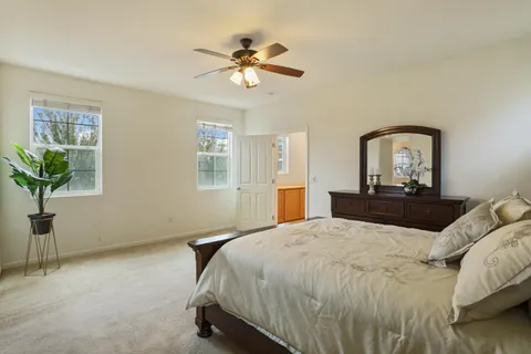 a bedroom with a bed and a potted plant