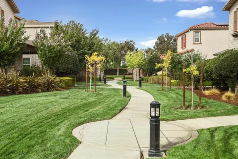 a view of a garden with a fountain
