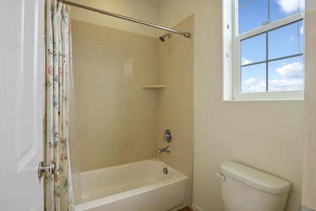 a view of backyard with wooden fence and trees