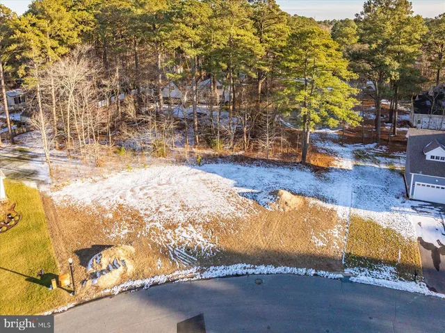 $92,000 | Lot 12 Holly Hill, Fruitland, MD 21826