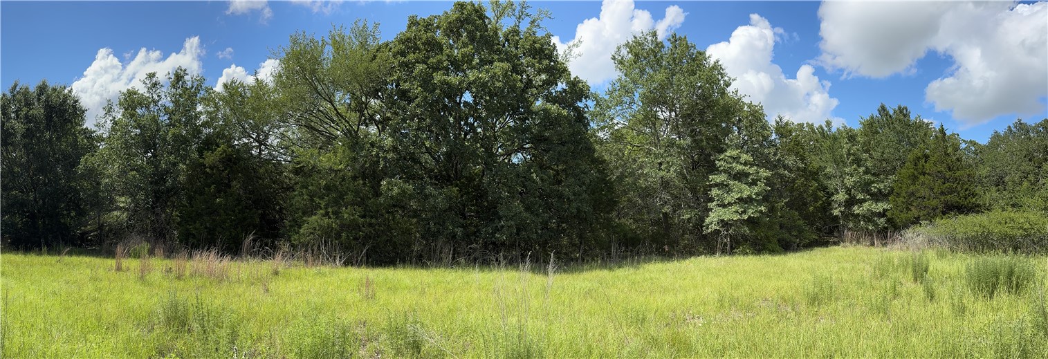 3816 Pin Oak Road Franklin, TX 77856 - Photo 12 of 15 Trees at bottom of hill 29 Ac.