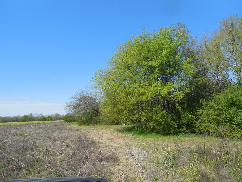 6.5 Acres Dothan Al Dothan, AL 36301 - Photo 1 of 1