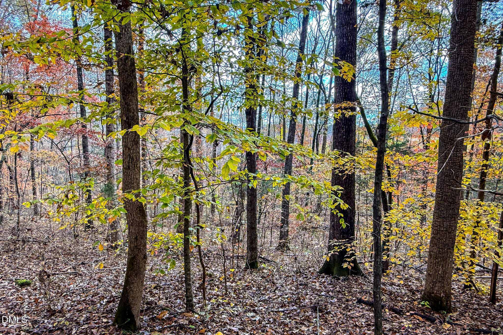 689 Lockamy Road Timberlake, NC 27583 - Photo 32 of 33