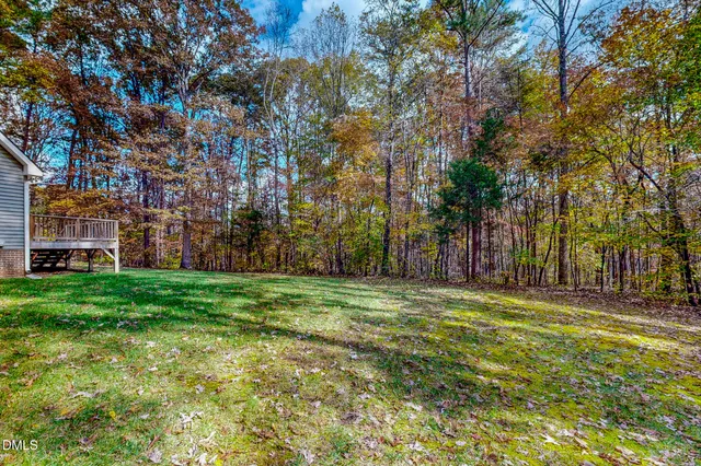 a big yard with large trees