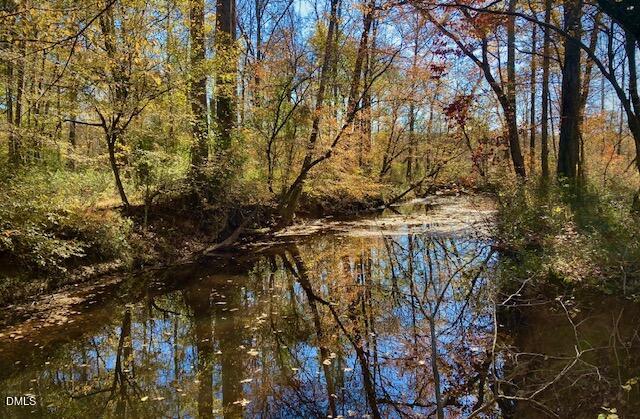 689 Lockamy Road Timberlake, NC 27583 - Photo 9 of 33 a view of a yard with a tree