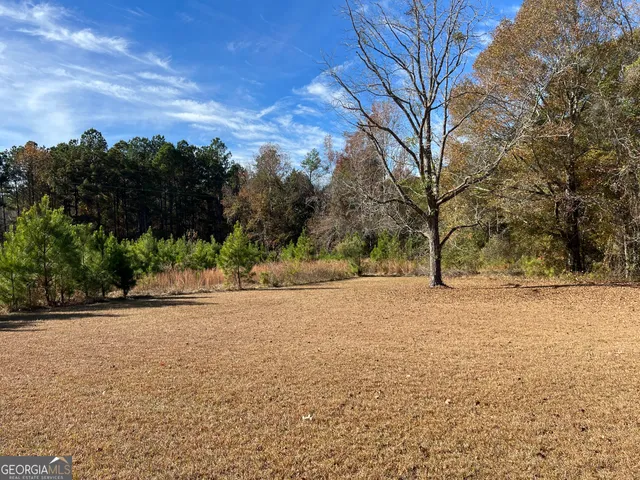 a backyard of a house with trees and stairs