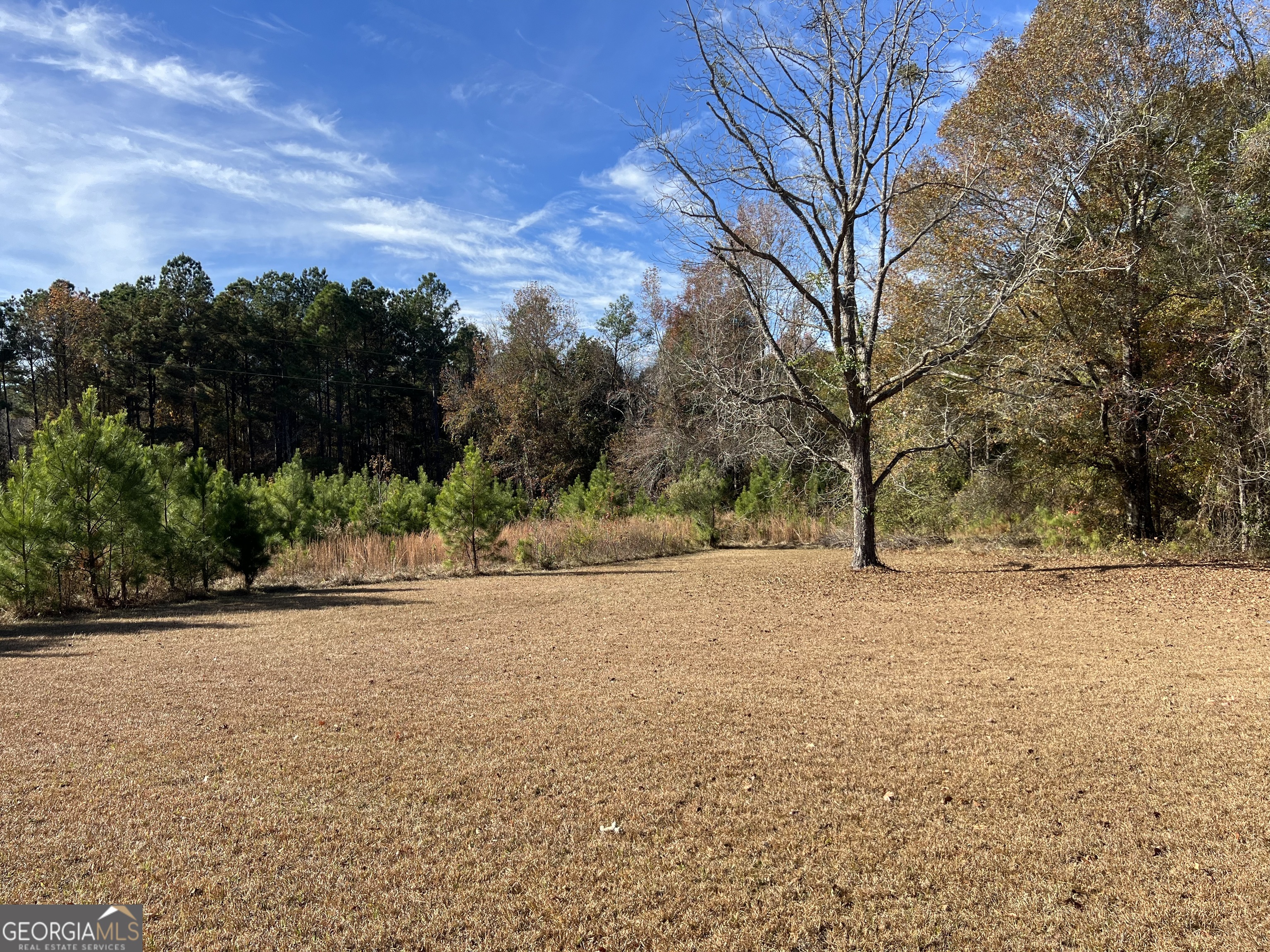 6419 Cochran Highway Cochran, GA 31014 - Photo 25 of 55 a backyard of a house with large trees