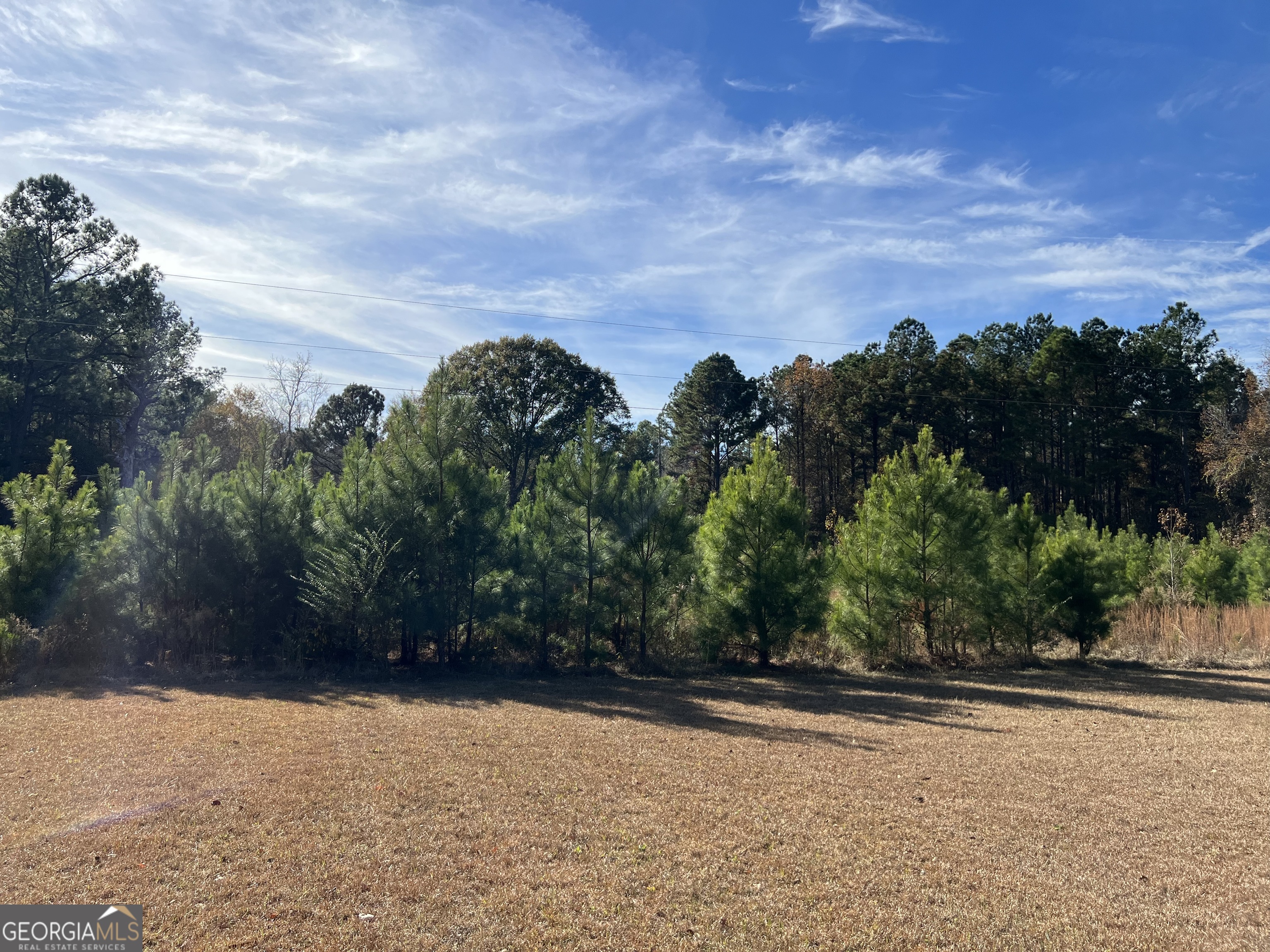 6419 Cochran Highway Cochran, GA 31014 - Photo 26 of 55 a view of a yard with plants and trees