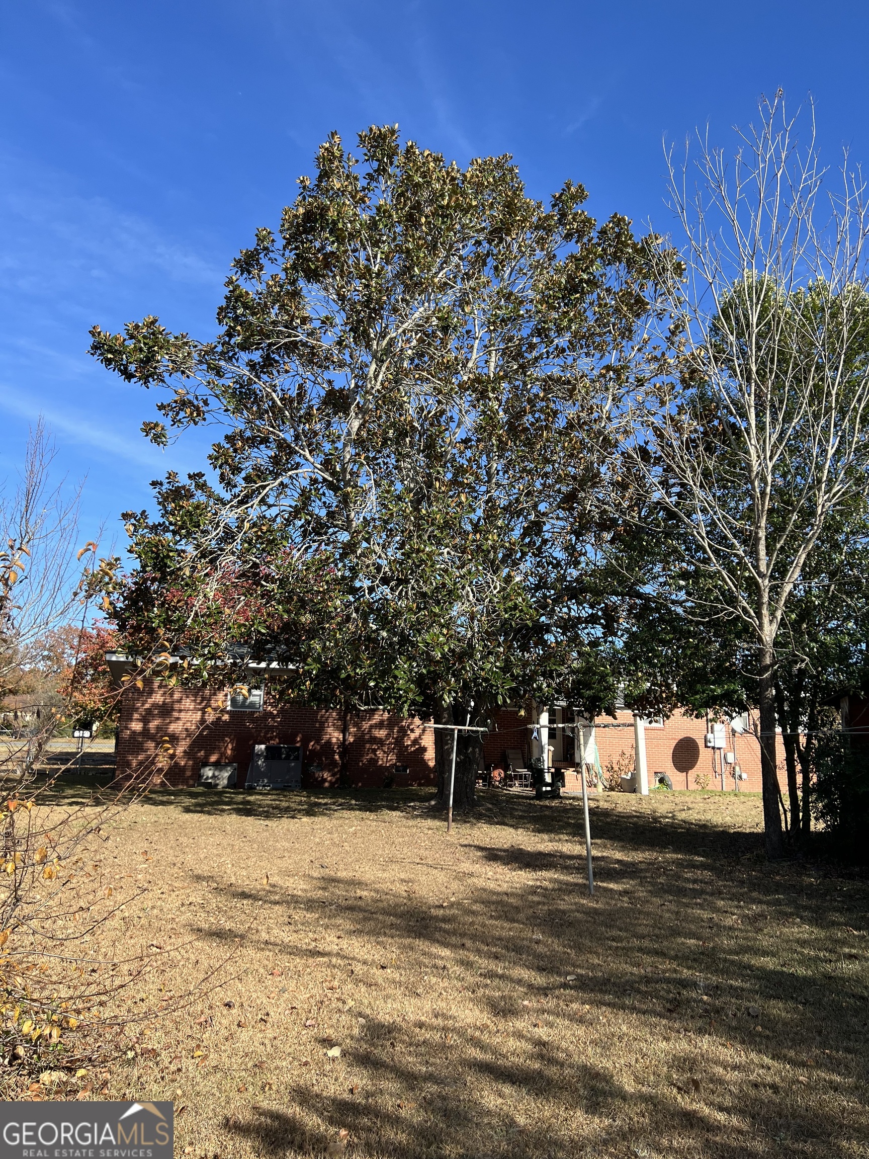 6419 Cochran Highway Cochran, GA 31014 - Photo 29 of 55 a view of a yard with a tree