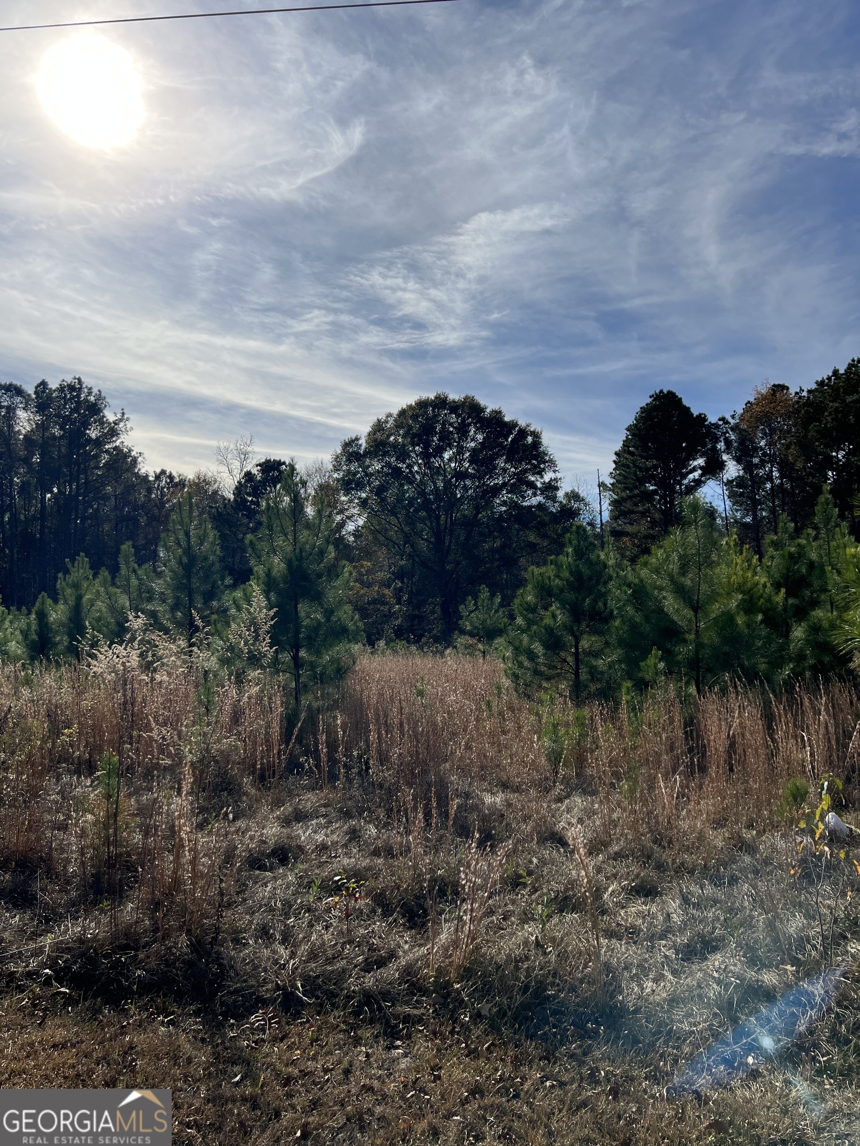 6419 Cochran Highway Cochran, GA 31014 - Photo 38 of 55 a view of a yard
