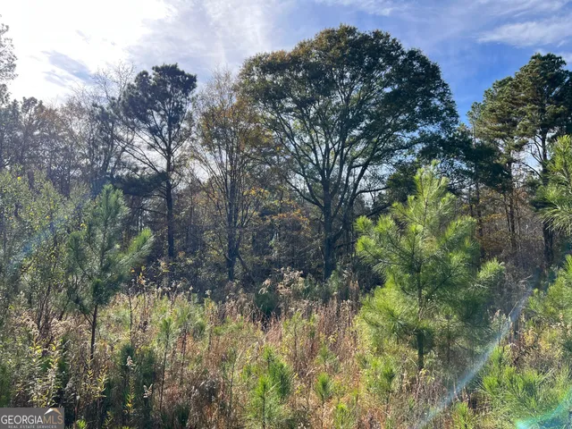 a view of outdoor space with lots of trees