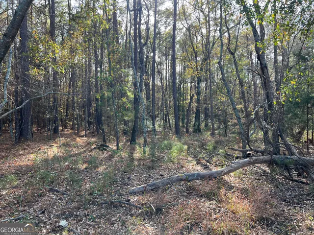 a view of outdoor space with deck and trees
