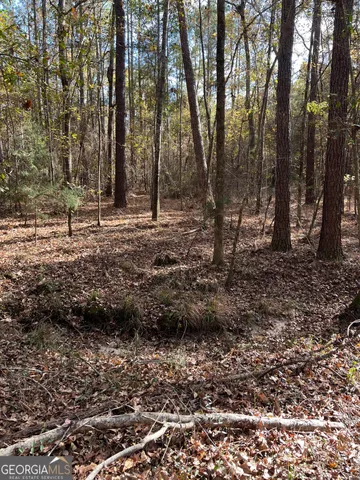 a view of road with trees