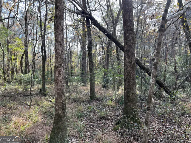 $259,000 | 6419 Cochran Highway, Cochran, GA 31014