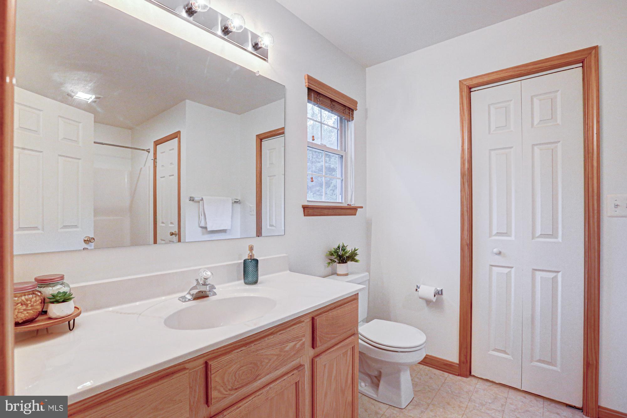 230 Tina Marie Lane Smyrna, DE 19977 - Photo 43 of 83 Primary EnSuite and Walk-in Closet