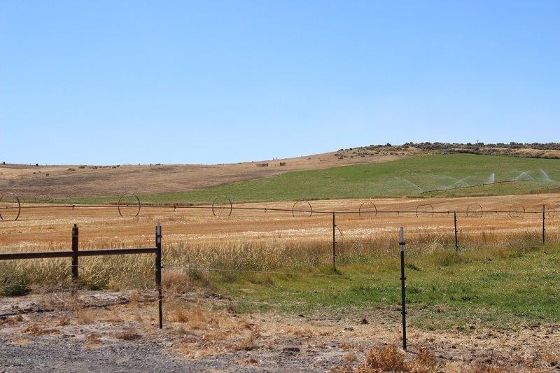 10520 Buesing Road Klamath Falls, OR 97603 - Photo 10 of 31 Additional Photo