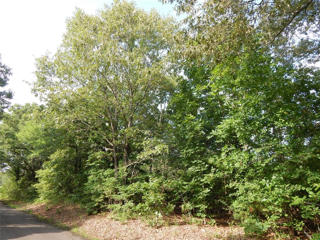 0 33800th Paris Tx 75460