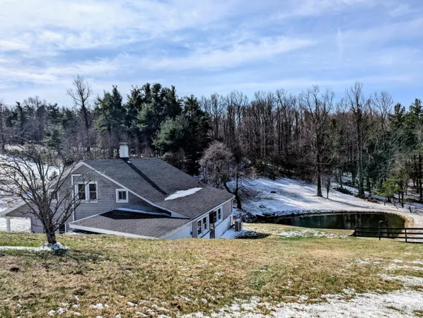 a view of a park with large trees