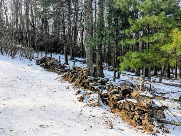 a view of a backyard with snow