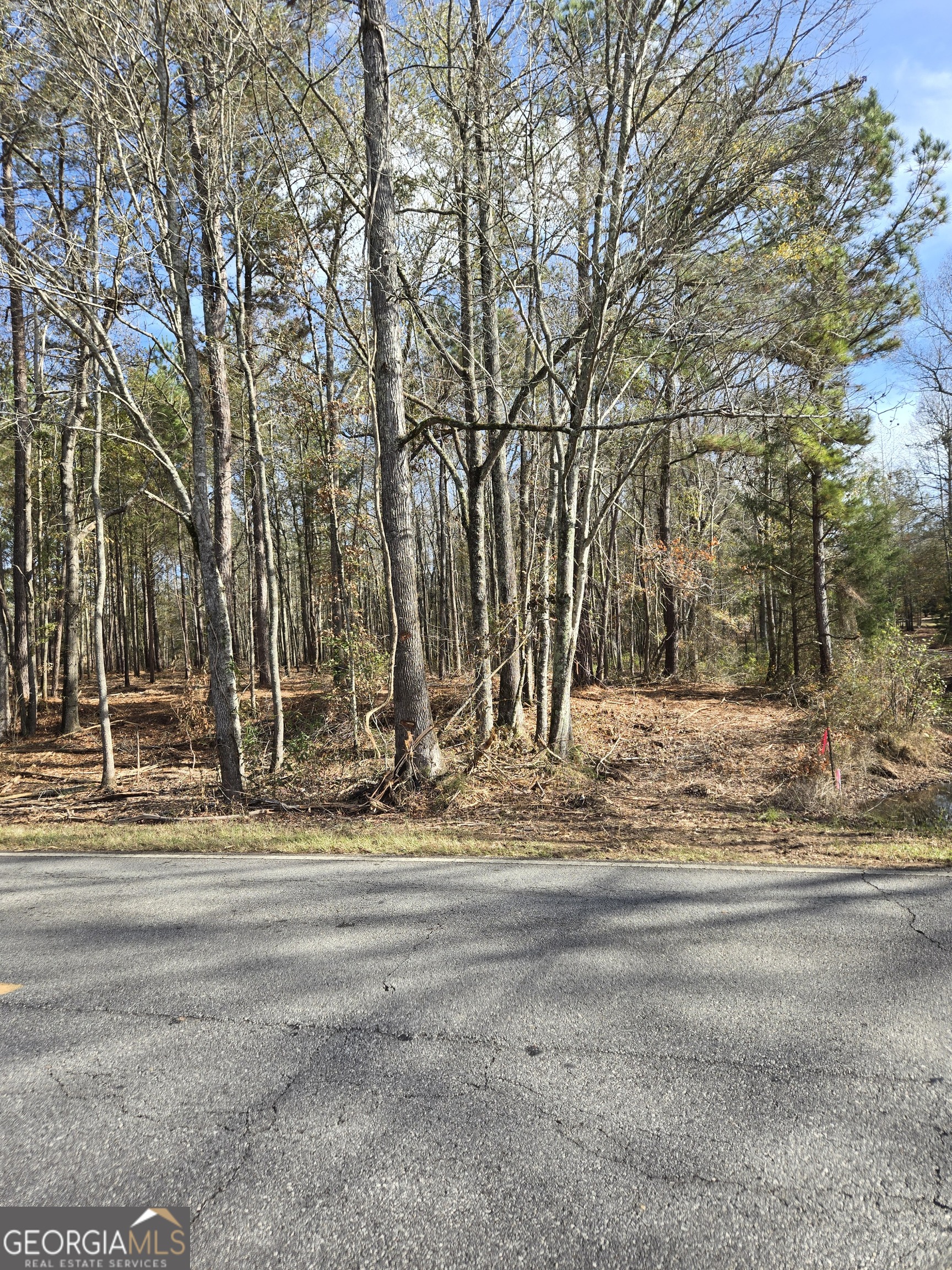 -yatesville R Yatesville Road Barnesville, GA 30204 - Photo 2 of 11
