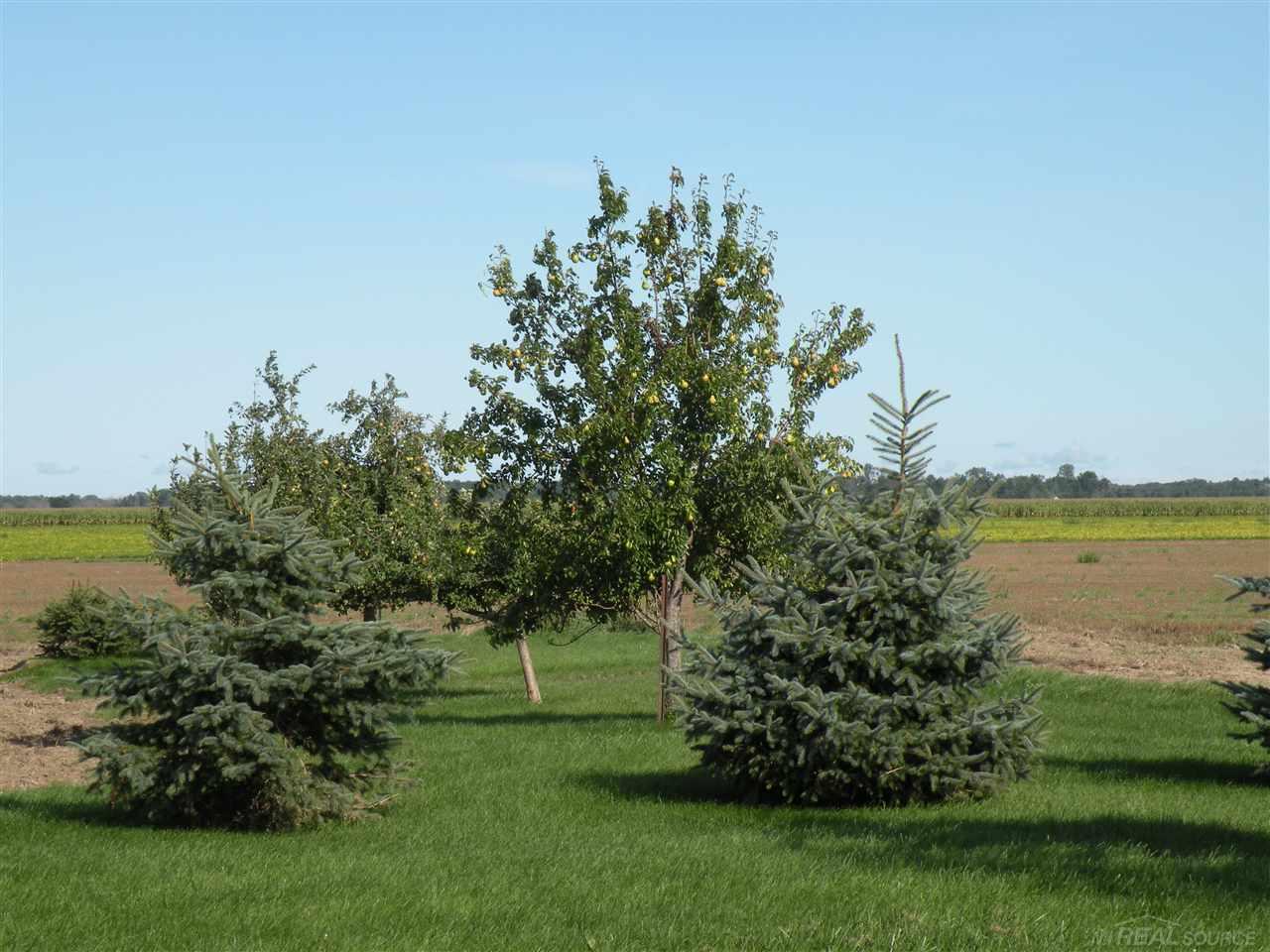 4118 Grassmere Road Caseville, MI 48725 - Photo 9 of 33 31303965-8.JPG