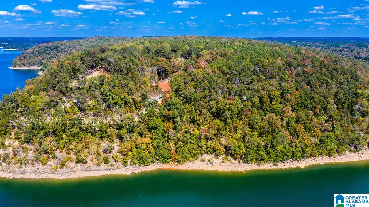 0 County Road 297 Cullman, AL 35057 - Photo 33 of 48