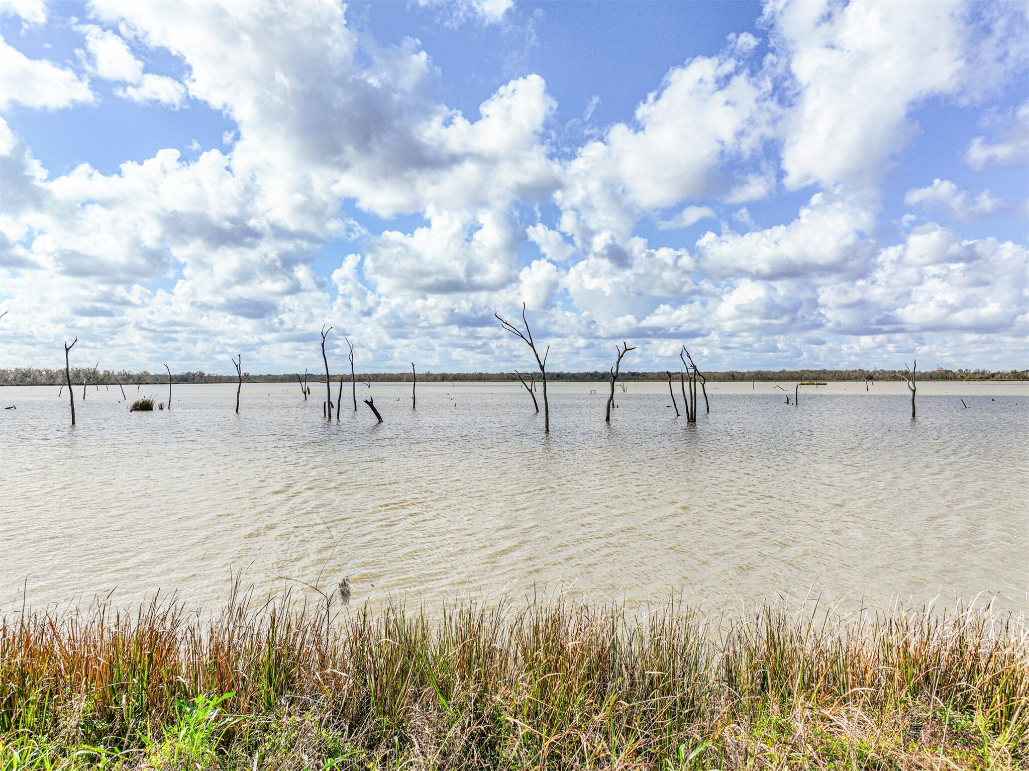 208 Pony Trail Angleton, TX 77515 - Photo 50 of 50 a view of swimming pool with outdoor seating and yard in back