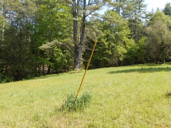 $50,000 | 88 Rose Wood Lane, Unit 88, Castleton, VT 05732