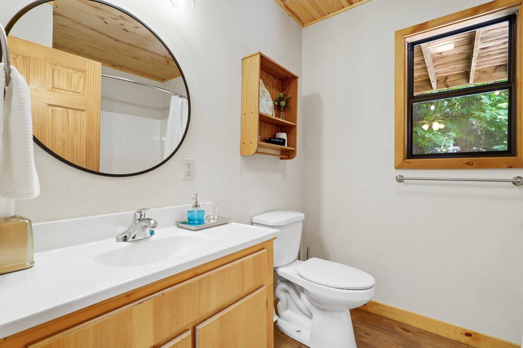 314 Wild Ridge Road Blairsville, GA 30512 - Photo 16 of 37 Gallery Image 16