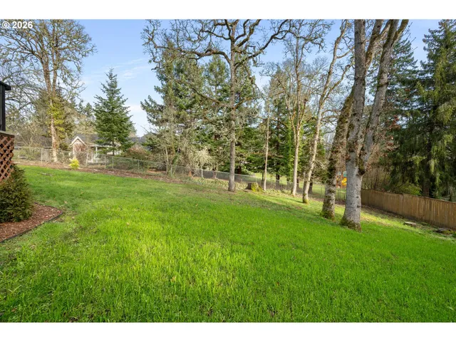a view of a park with large trees