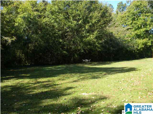 215 Snake Hill Road Trussville, AL 35173 - Photo 32 of 32