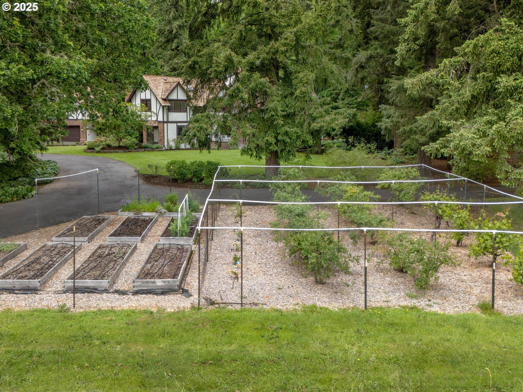24825 Southwest Daniel Road Beaverton, OR 97078 - Photo 40 of 48 Garden