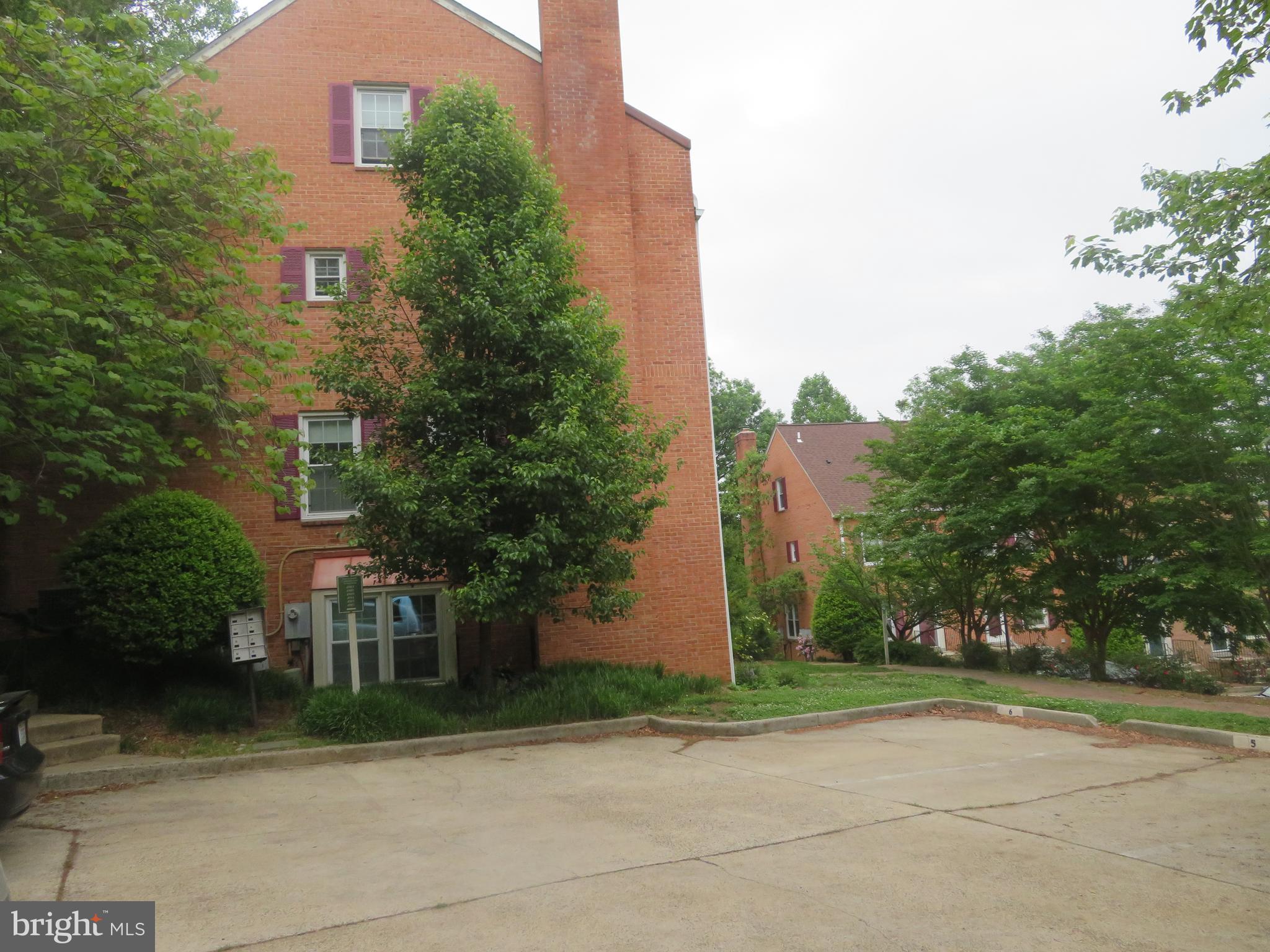 4911 7th Road South, Unit 4911 Arlington, VA 22204 - Photo 6 of 44